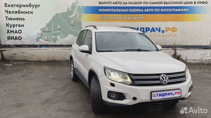 Диск тормозной задний Volkswagen Tiguan (NF) 5Q061