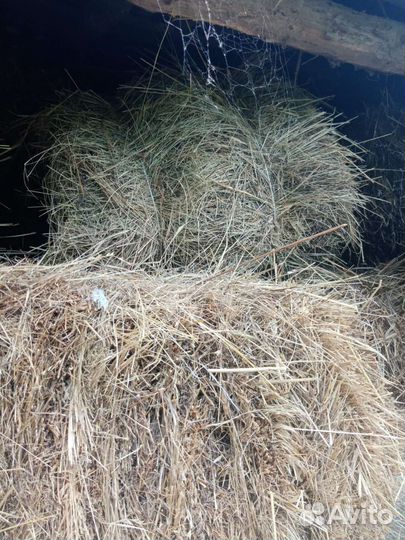 Сено в тюках