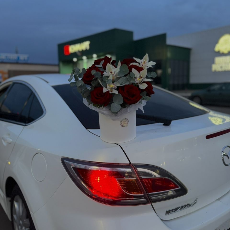 Mazda 6: фото владельца