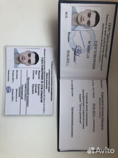 Арборист спил и удаление аварийных деревьев