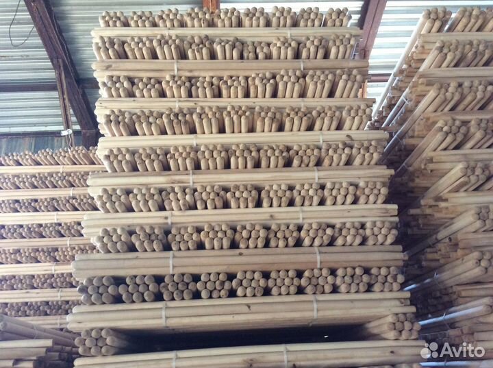 Черенки из березы / Крупный опт / Тольятти