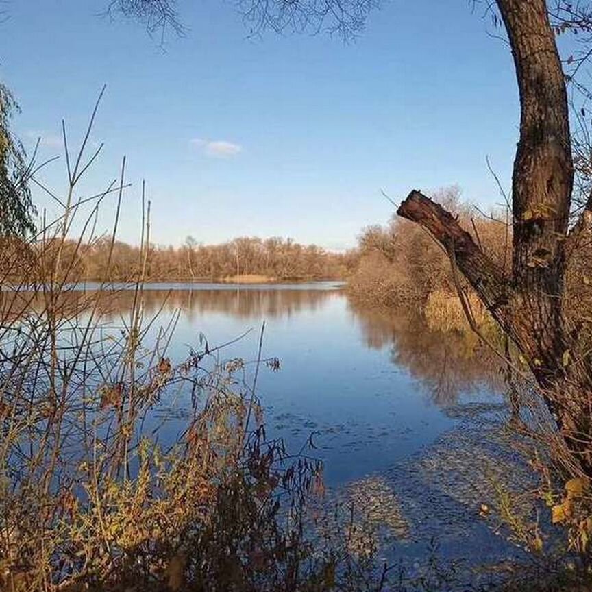 Квартира 2-комн. 30 м² в Скопин — фото 11 из 13