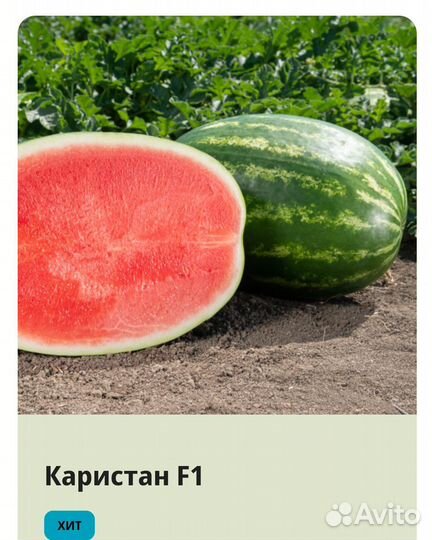 Арбуз Каристан Оригинал семена
