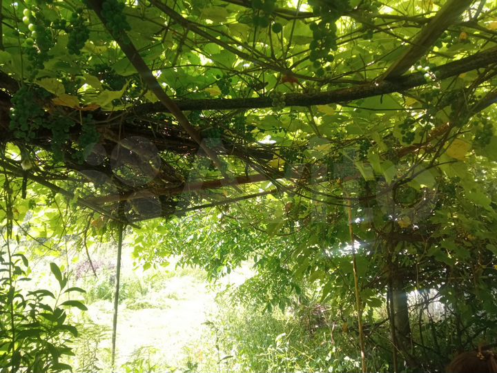 Дача 12 м² на участке 6 сот.