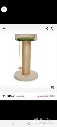 Когтеточка-комплекс