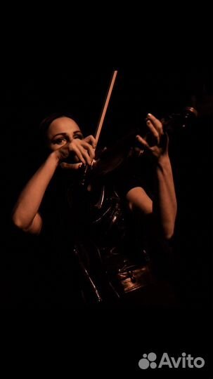 Скрипка, живая музыка