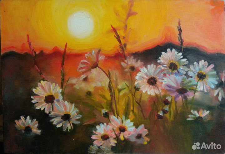 Картина маслом. Цветы. Полевые ромашки. Закат