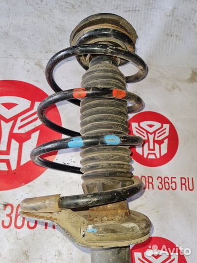 Стойка передняя в сборе передняя левая Citroen C4