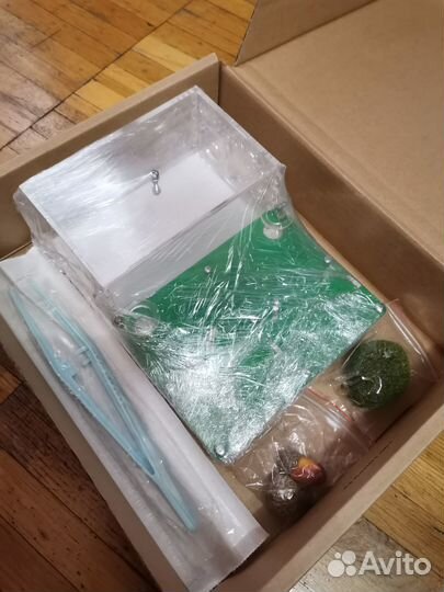 Муравьиная ферма лукоморье