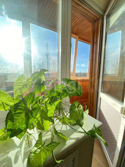 3-к. квартира, 58,8 м², 3/4 эт.