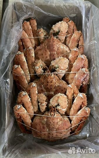 Краб камчатский целый