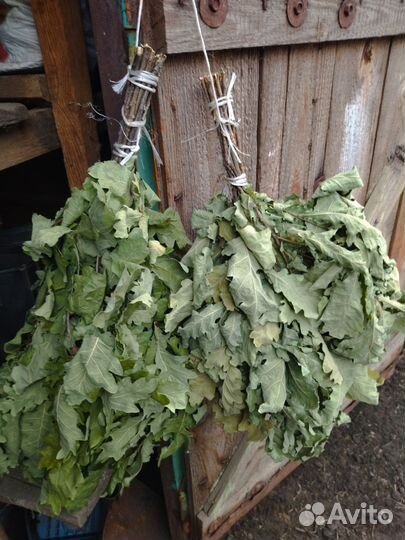 Веники для бани