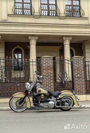 Chicano harley davidson softail custom