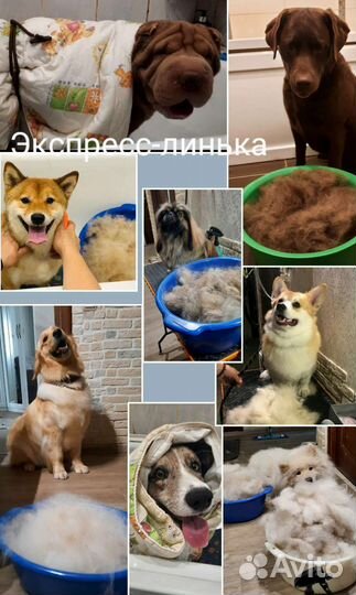 Стрижка собак. Груминг. Грумер для хвостиков