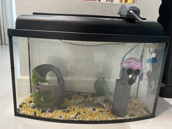Аквариум