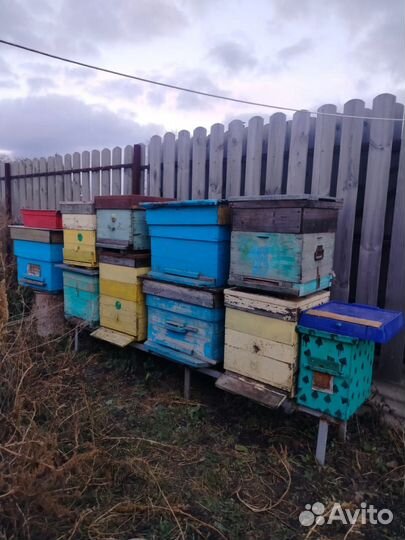 Улья с рамками