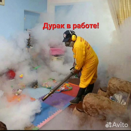 Уничтожение клопов, тараканов, муравьев