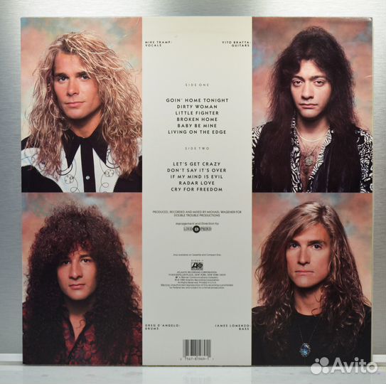 Виниловая пластинка white lion 