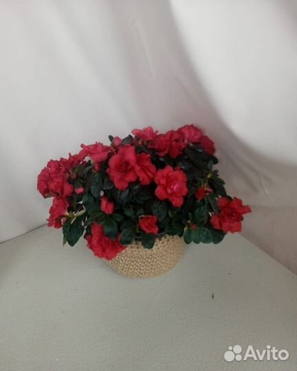 Корзина для цветочного горшка