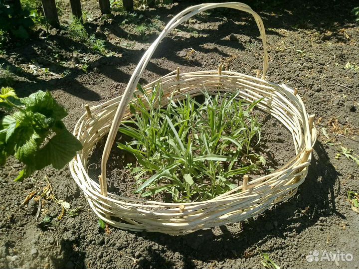 Корзинка для клумбы