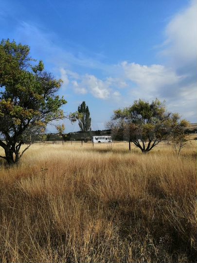 Участок 4 сот. (СНТ, ДНП)