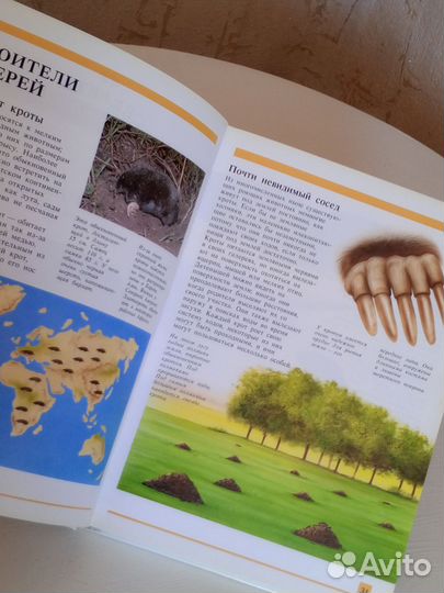 Книга секреты животного мира