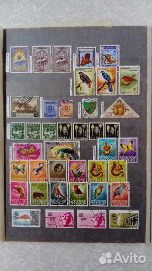 Марки Африки, колонии, флора, фауна, каталог СССР