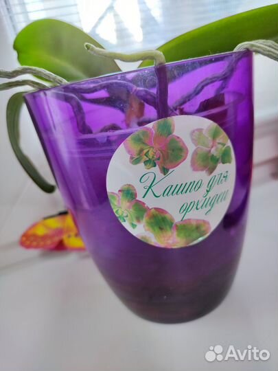 5 шт. Кашпо для орхидей и 1 орхидея