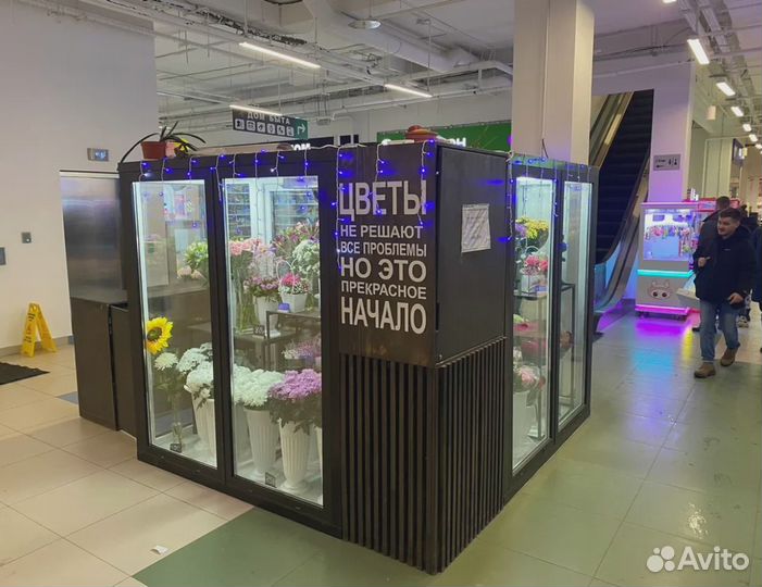 Холодильники для цветов (цветочные камеры)