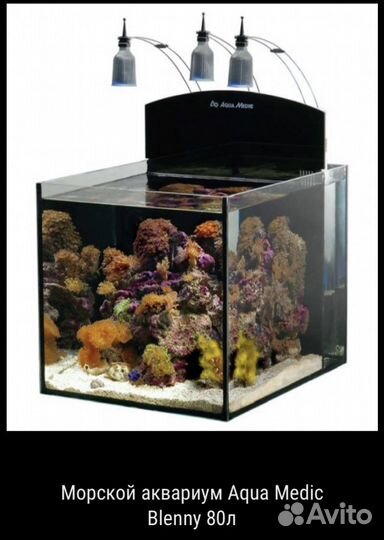 Морской аквариум Aqua Medic Blenny 80л