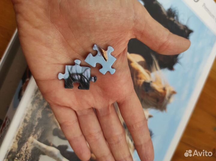 Пазлы 1000 лошали