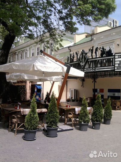 Профессиональный уличный зонт для кафе и веранды