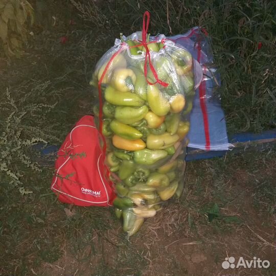 Перец болгарский