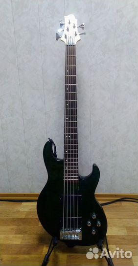 Greg bennett FN5.5/TEG Бас-гитара, 5-струнная