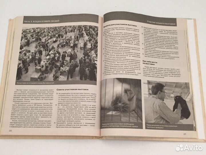 Энциклопедия все о Домашних Кошках