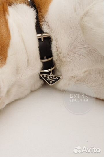 Ошейник prada для животных
