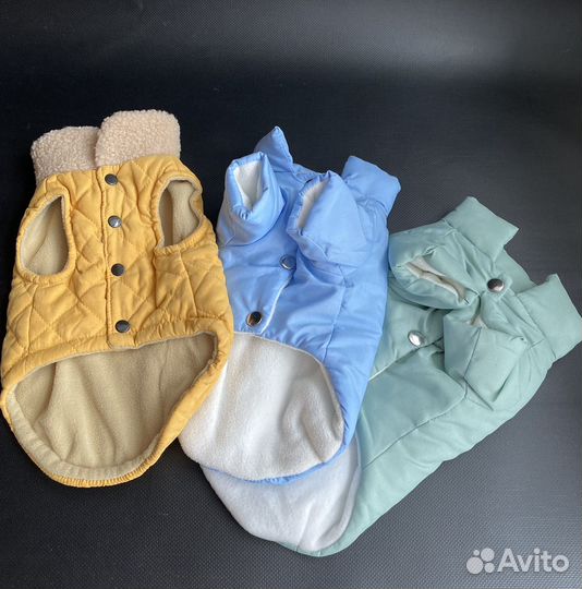 Одежда для собак