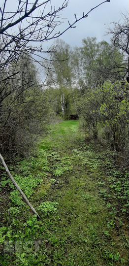 Дом 59,5 м² на участке 35 сот.