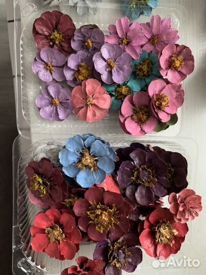 Декор из шишек