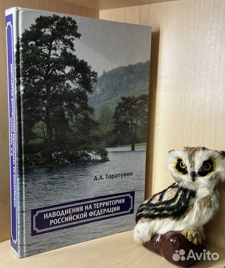 Наводнения на территории Российской Федерации 2008