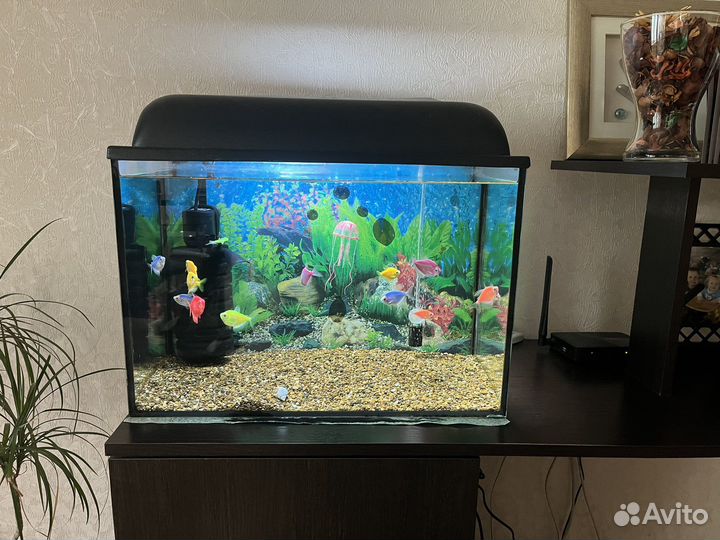 Аквариум