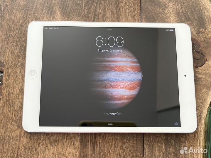 iPad mini sim