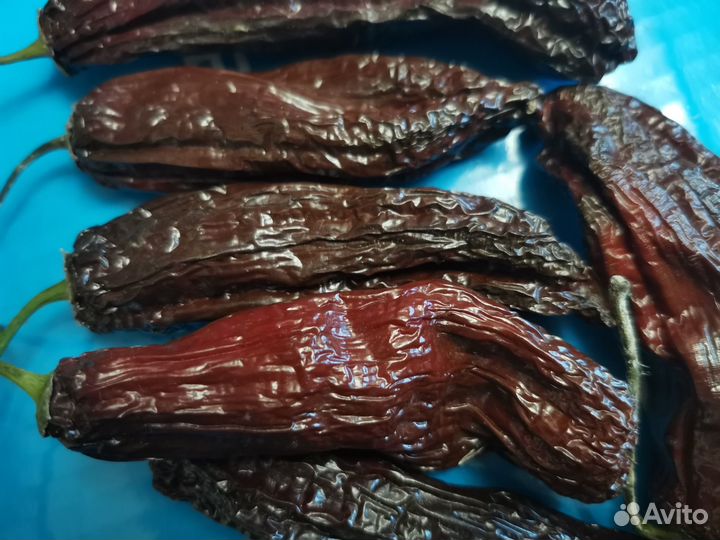 Семена острого перца