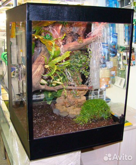 Террариумы, акватеррариумы