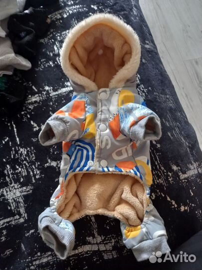 Костюмчик для собаки