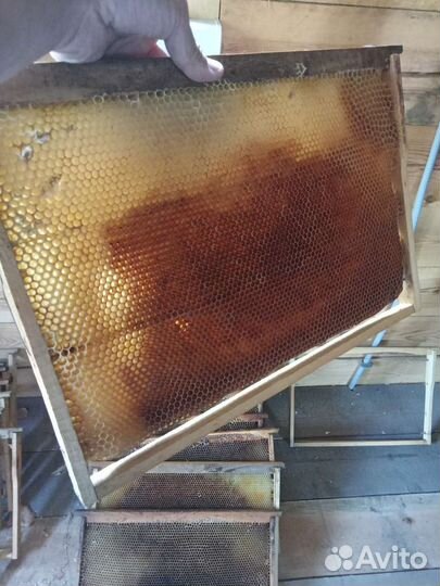 Ульи для пчел бу