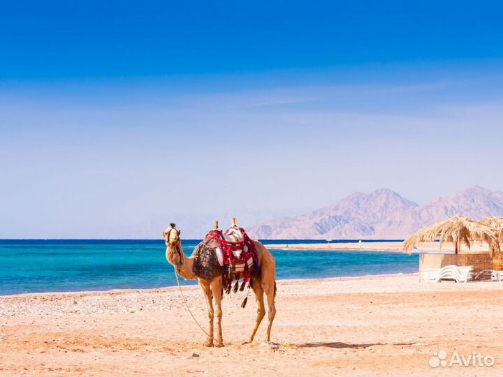 Турпоездка в Hurghada на 6 нч за двоих чел