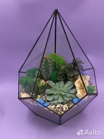 Любимому учителю