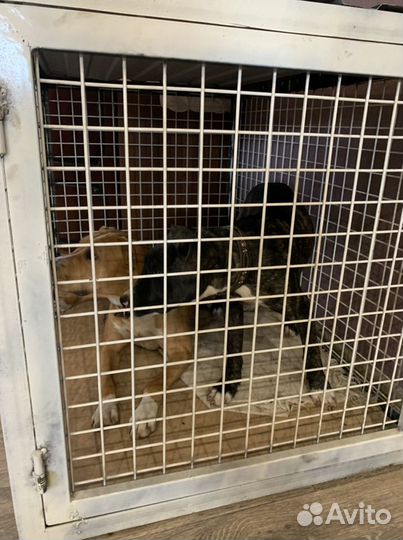 Клетка для собак