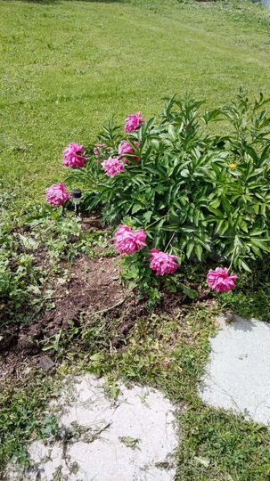 Дача 50 м² на участке 6 сот.